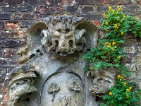 Cambridge